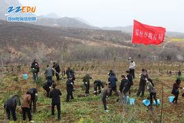 陳家門村[河南省登封市石道鄉陳家門村]