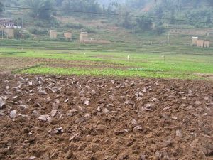 措樂自然村 措樂自然村