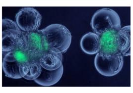 時間因子 時間因子