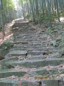 長坑嶺古道 長坑嶺古道