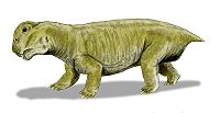 （圖）在三疊紀早期，水龍獸是陸地上最繁盛的脊椎動物