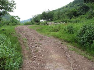 下莽自然村 下莽自然村