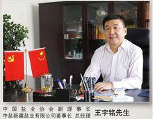 王宇銘[中鹽新疆鹽業有限公司董事長]