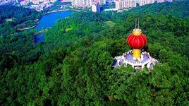 東莞黃旗山公園 東莞黃旗山公園