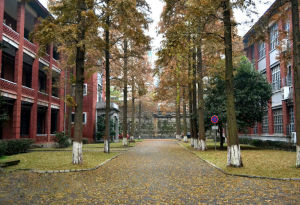 湖南大學專業技術人才繼續教育基地 湖南大學專業技術人才繼續教育基地