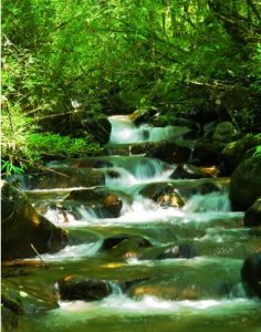 文縣[隴上江南]