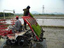 斗門村[浙江省餘姚市馬渚鎮斗門村]
