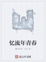 憶流年青春