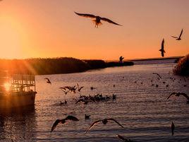 東風鎮[內蒙古自治區阿拉善盟額濟納旗東風鎮]