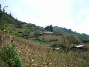 打吾米自然村 打吾米自然村