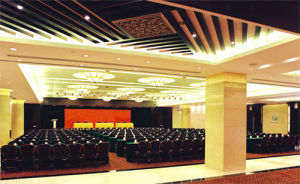 重慶南方君臨酒店