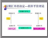 利率平價理論 利率平價理論