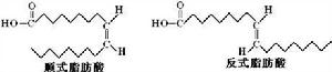 順式脂肪酸與反式脂肪酸