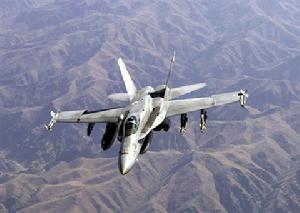 大黃蜂[戰鬥機]