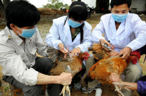 人獸共患病 人獸共患病