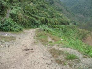 核桃林地村 核桃林地村