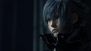 最終幻想versus13遊戲花畫面