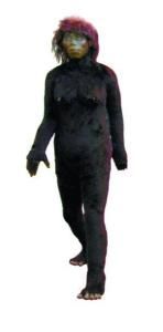 神龍架野人 神龍架野人