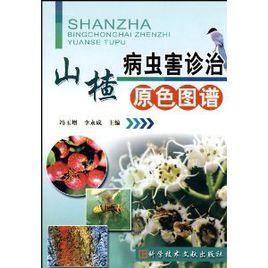 山楂病蟲害診治原色圖譜 山楂病蟲害診治原色圖譜