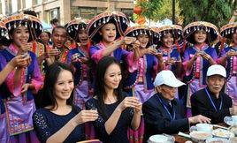 墨江國際雙胞胎節 墨江國際雙胞胎節