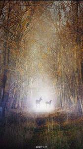 晨的戀歌 晨的戀歌