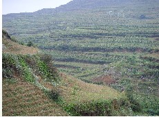 （圖）耕地資源 