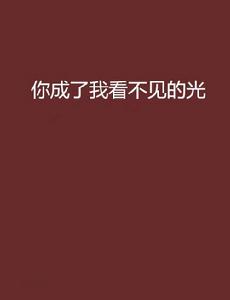 你成了我看不見的光
