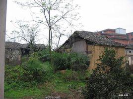 農村空心村 農村空心村