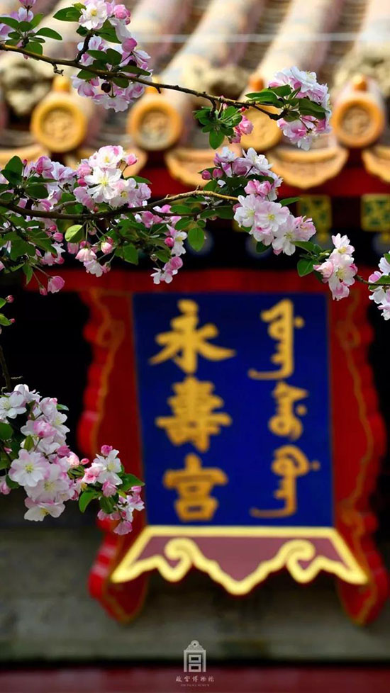 去了瀘沽湖才知道,女兒國真的存在。