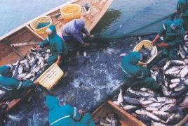 整體暴露分析 整體暴露分析