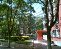 高家園一區 高家園一區