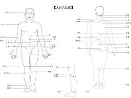拔火罐穴點陣圖 拔火罐穴點陣圖