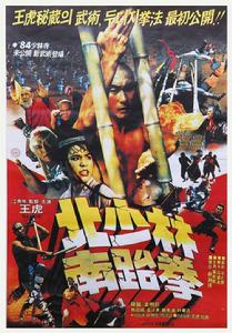 北少林南跆拳 北少林南跆拳