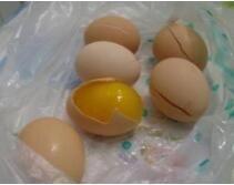 假雞蛋