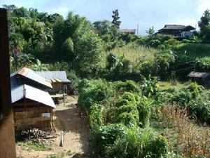 拱林自然村 拱林自然村