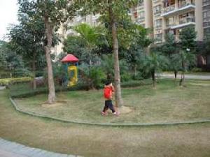 桃源芳居 桃源芳居