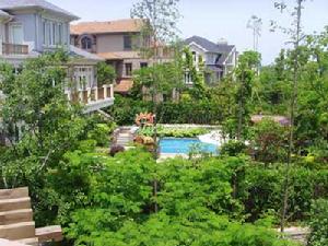 山河水花園 山河水花園