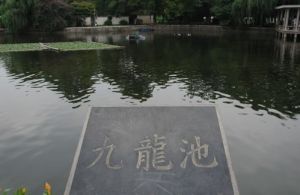 九龍池公園 九龍池公園