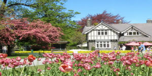 NSIA酒店管理學院 NSIA酒店管理學院