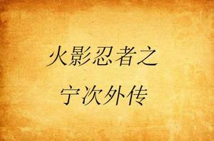 火影忍者之寧次外傳 火影忍者之寧次外傳