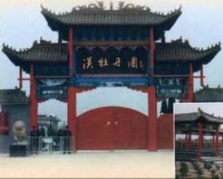 柏鄉漢牡丹園 柏鄉漢牡丹園