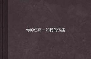 你的傷痛一如我的傷痛 你的傷痛一如我的傷痛