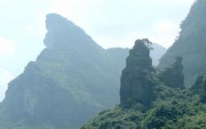 金佛山國家森林公園