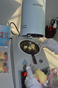 針插式肉類水分儀