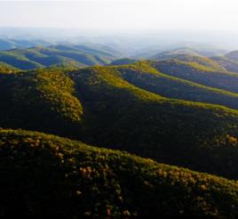 甘肅子午嶺國家森林公園 甘肅子午嶺國家森林公園