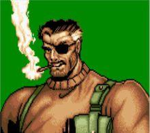 制裁者[經典街機遊戲]