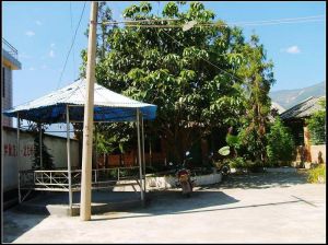 班局東廠村 班局東廠村