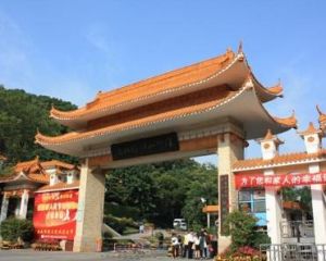 仙湖植物園 仙湖植物園