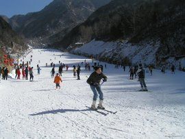 翠華山滑雪場 翠華山滑雪場