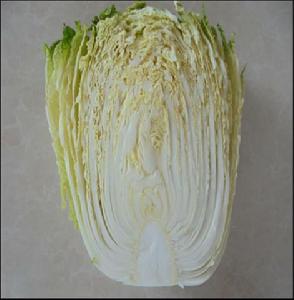 化德大白菜